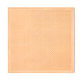Louis Vuitton monogram shine shawl