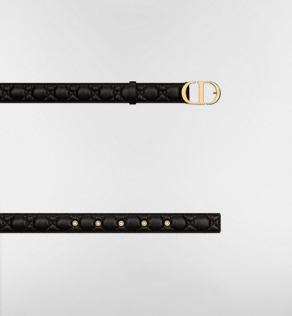 Elevate Your Style with the Dior Montaigne Belt