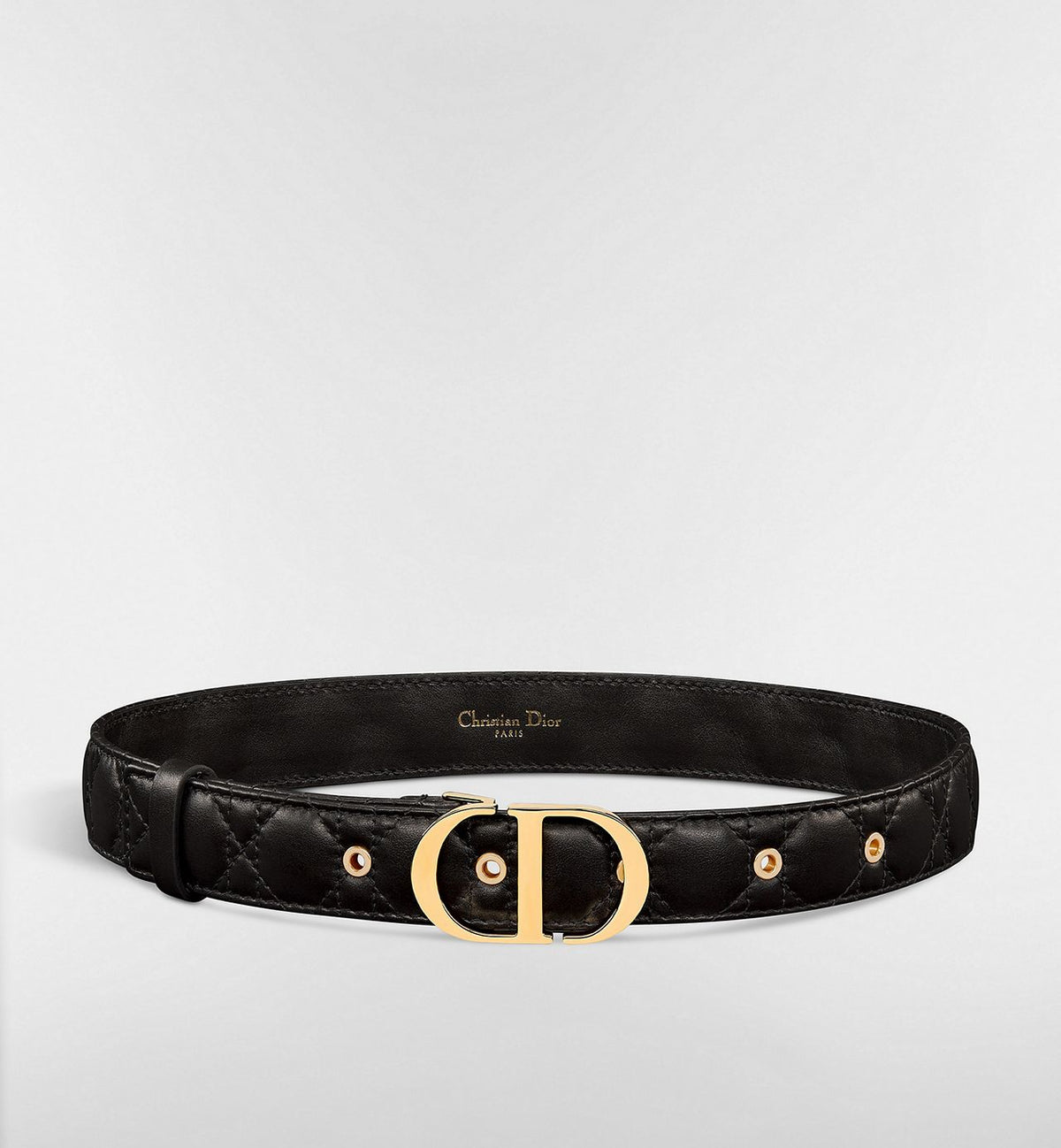 Dior 30 Montaigne belt