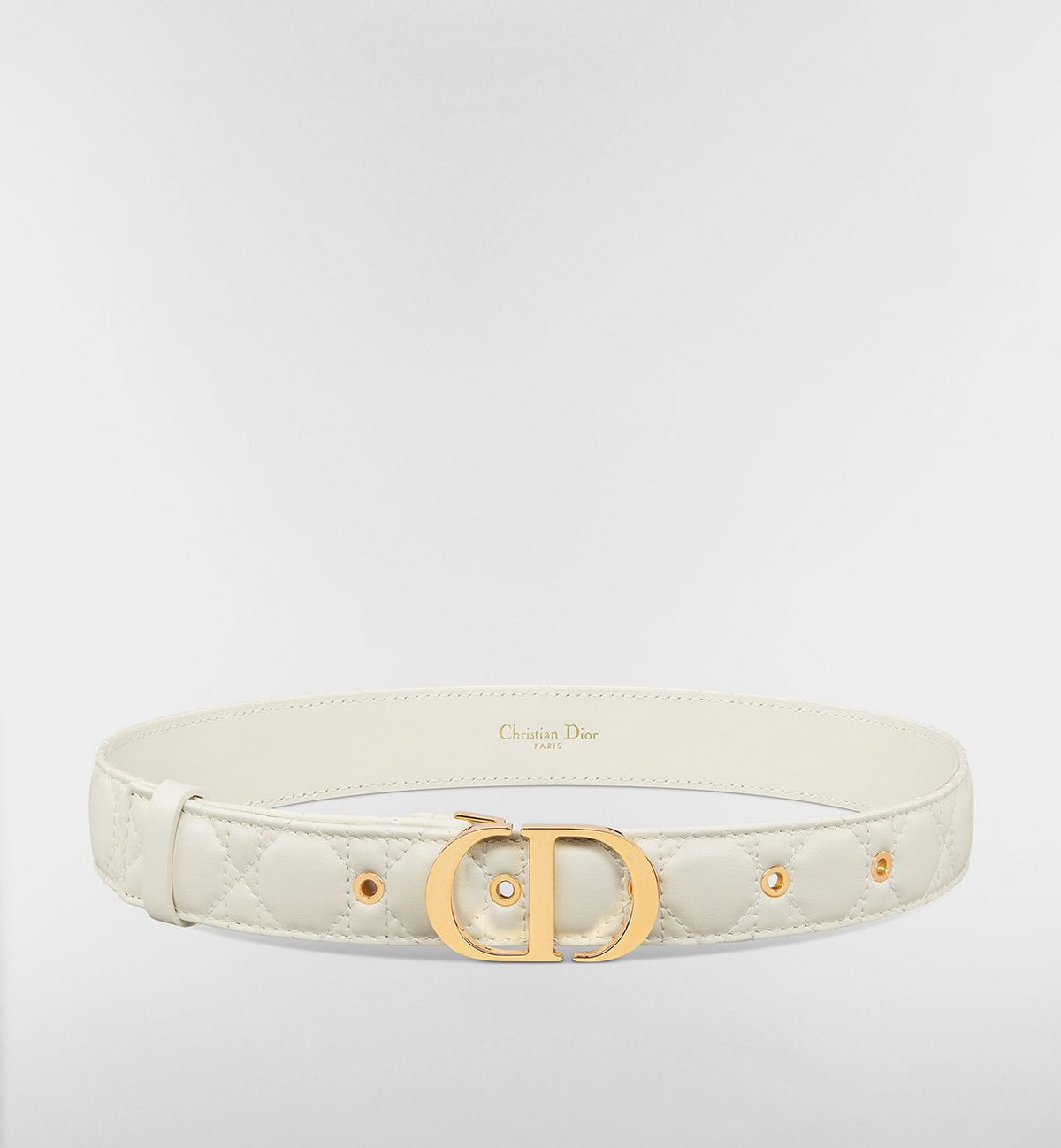 Dior 30 Montaigne belt