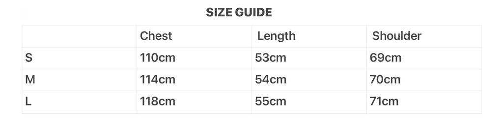 Celine long sleeved T-shirt in striped cotton jersey