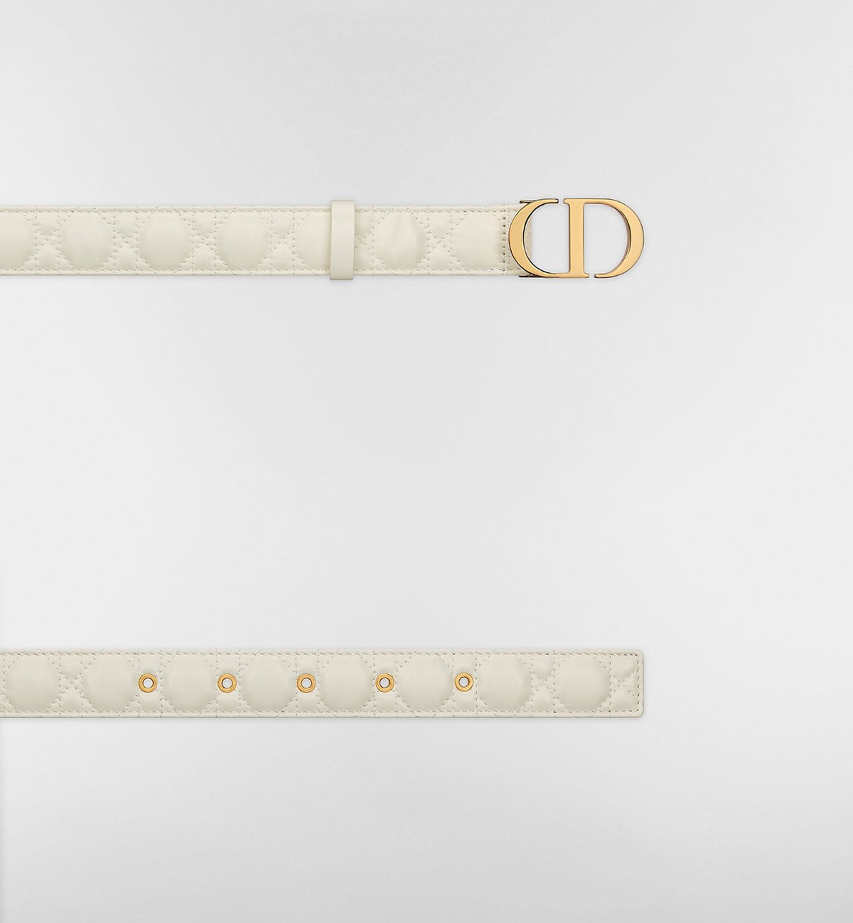 Dior 30 Montaigne belt