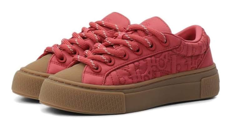 Dior x Stone Island B33 sneakers