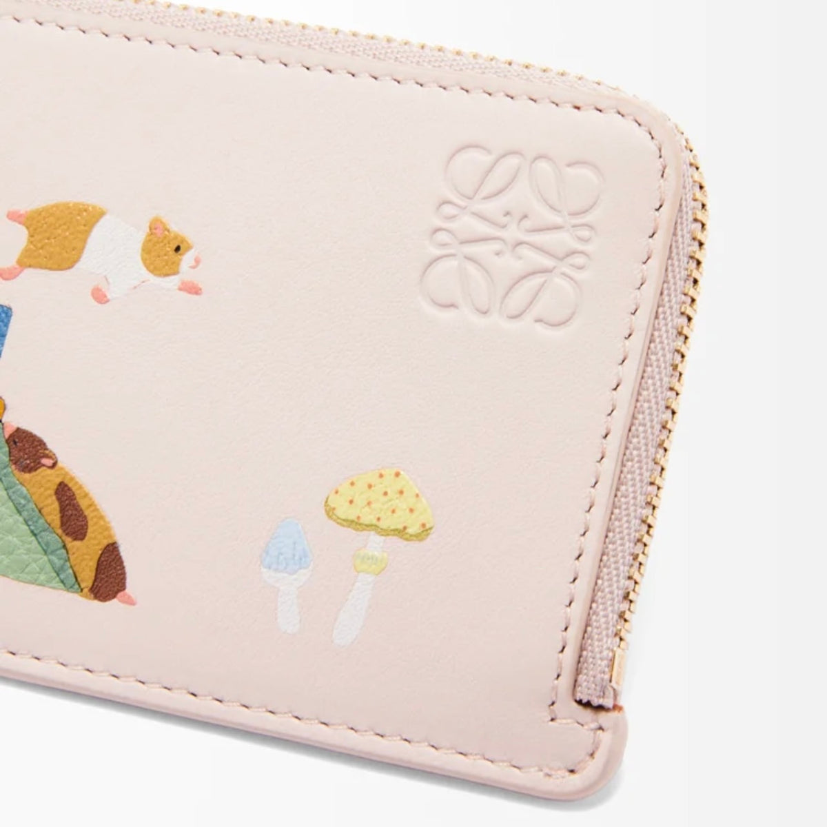 Loewe nappa calfskin cardholder,Loewe suna fujita cardholder,Loewe suna fujita pink cardholder,Loewe suna fujita leather card