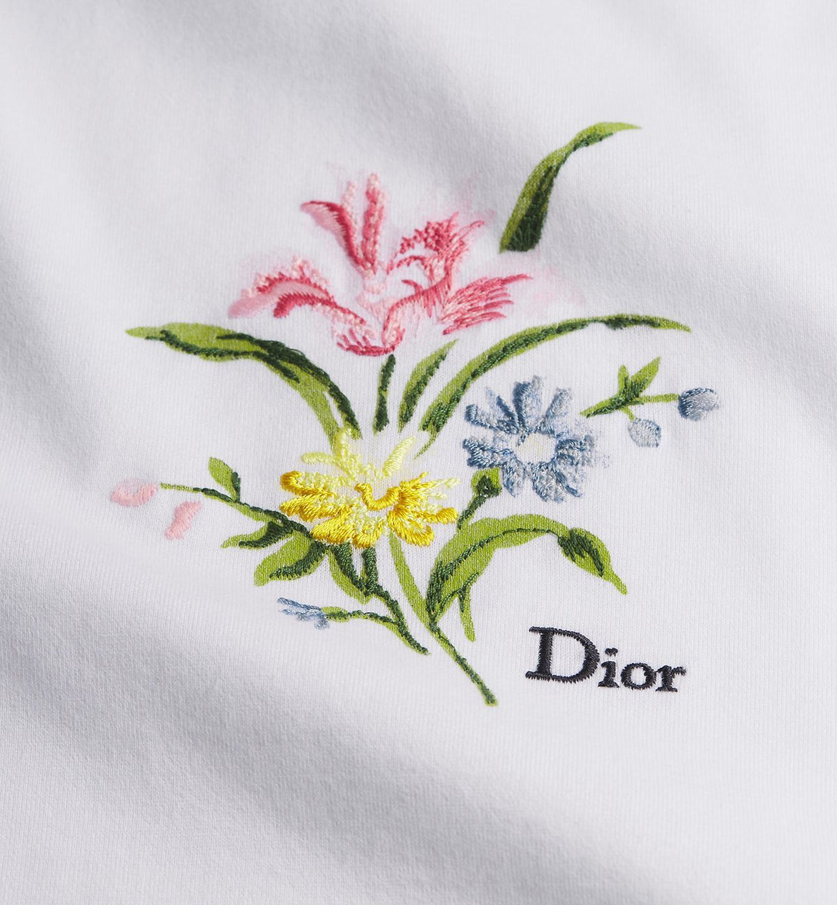 Winniemodo,Winniemodony,Dior 693J640A3282,Dior T-Shirt,Dior T- Shirt mens,Dior T-Shirt secret garden,Dior Tee on sale,Dior cl