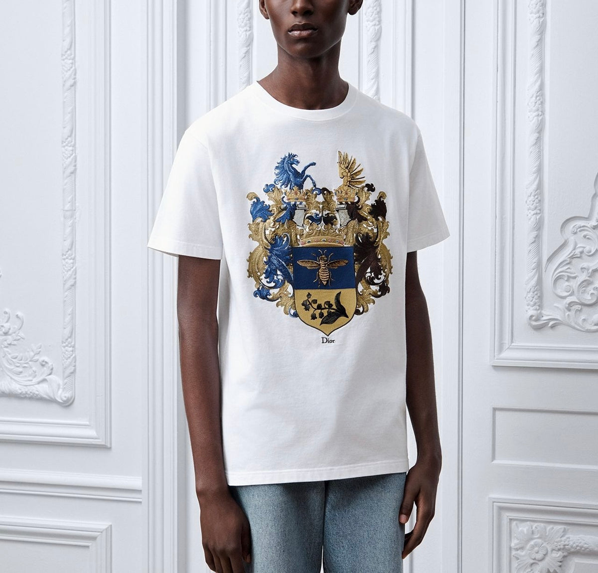 Winniemodo,Winniemodony,Dior 693J637B3,Dior t-shirt sale,Dior t-shirt outlet, Italian clothing designer,best clothing brands,
