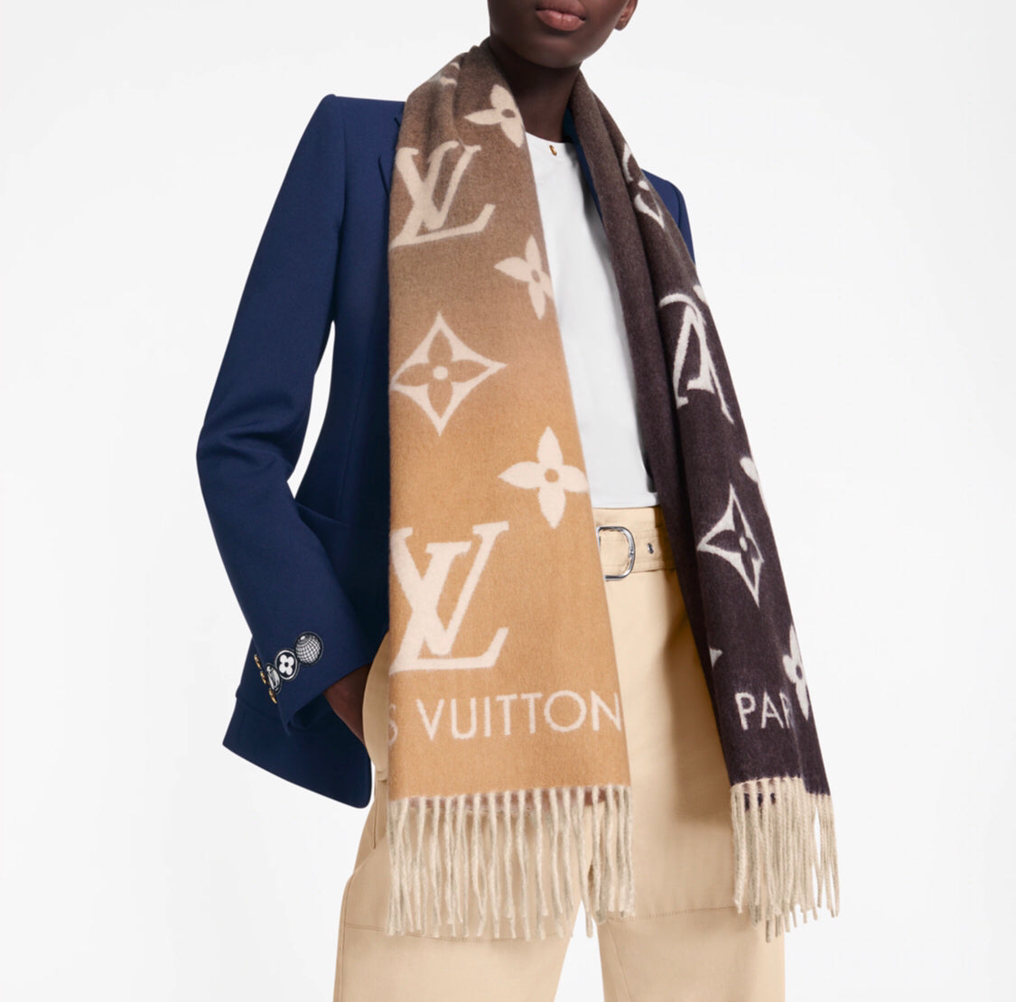 Louis Vuitton Revkjavik Gradient scarf
