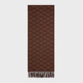 Celine scarf in monogram cashmere