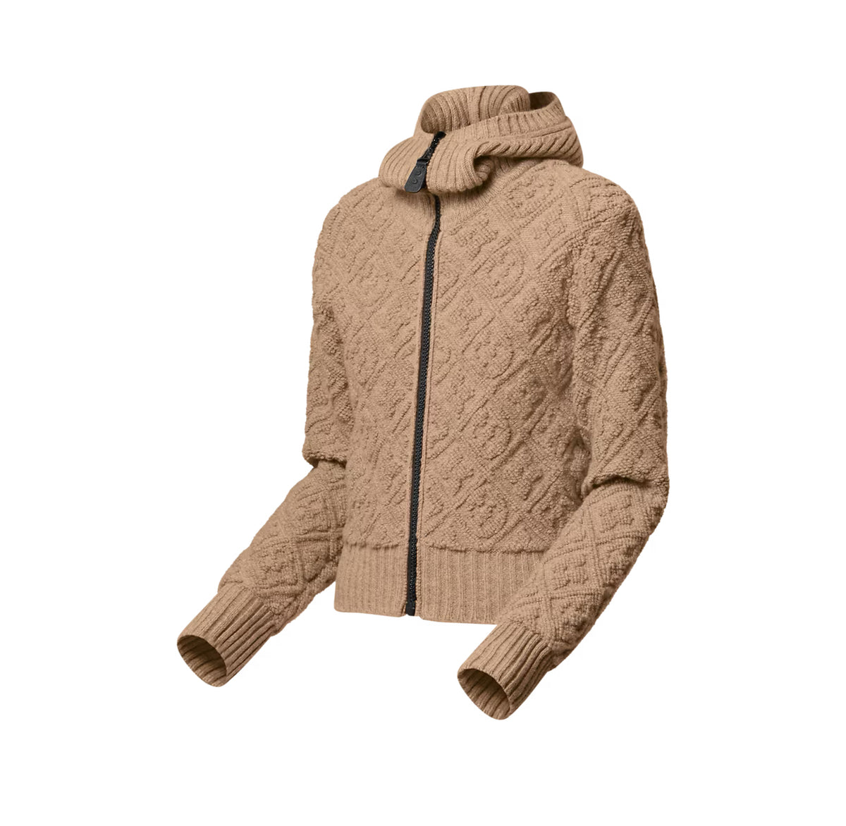 Winniemodo,Winnie modo,Louis Vuitton 1AIVSG,LV 1AIVSG,Louis Vuitton monogram zip up jacket,LV monogram jacket,Louis Vuitton j