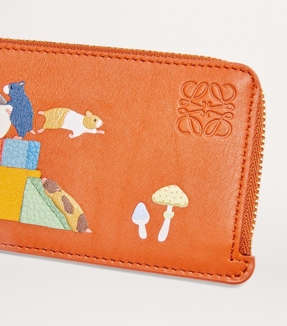 Loewe nappa calfskin cardholder,Loewe suna fujita cardholder,Loewe suna fujita orange cardholder,Loewe suna fujita leather ca