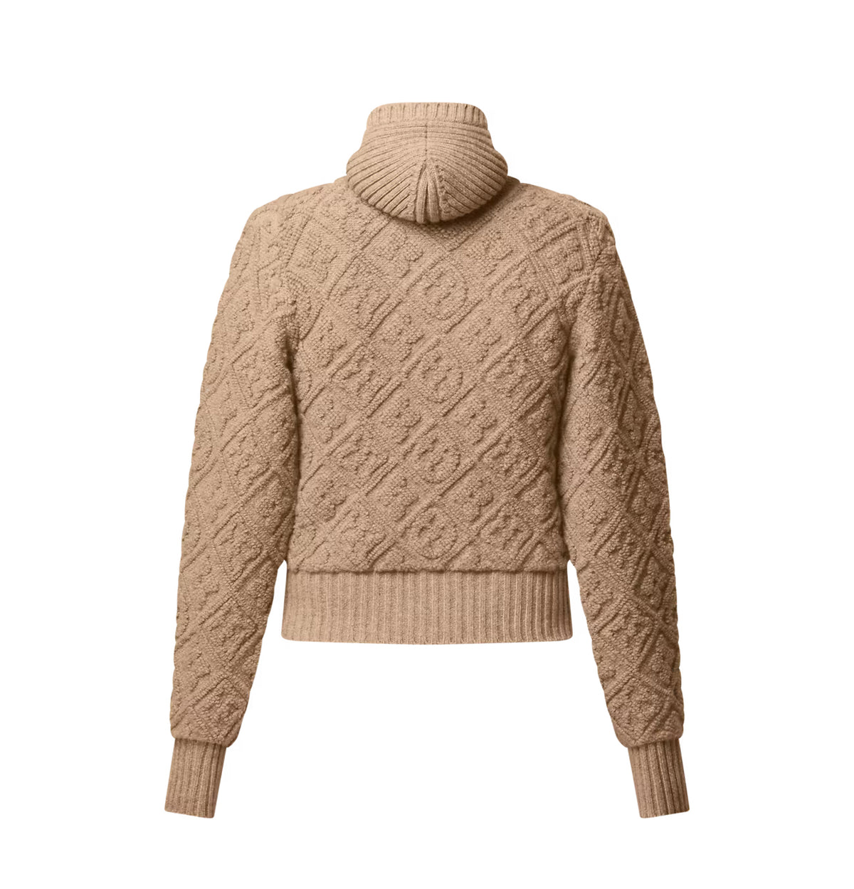 Winniemodo,Winnie modo,Louis Vuitton 1AIVSG,LV 1AIVSG,Louis Vuitton monogram zip up jacket,LV monogram jacket,Louis Vuitton j