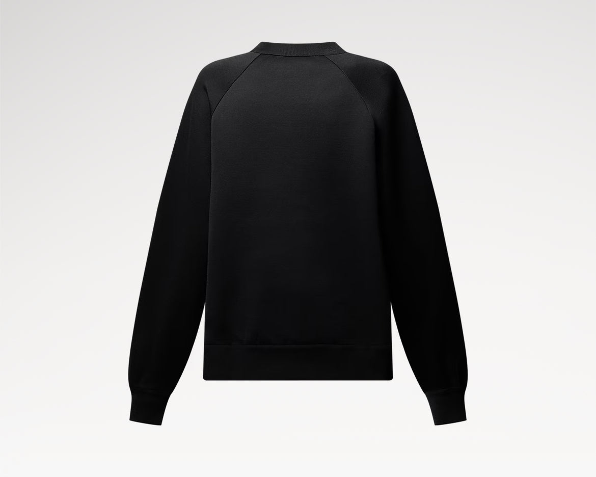 Lv 1AGRGB,Louis Vuitton 1AGRGB,LV crewneck,Lv sweater,LV knitwear,LV pullover,LV cotton sweater,LV pullover mens,LV pullover