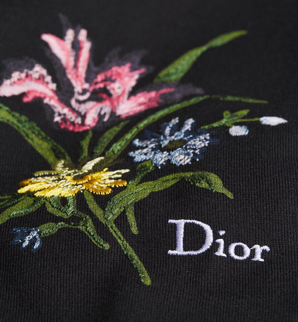 Winniemodo,Winniemodony,Dior 693J640A3282,Dior T-Shirt,Dior T- Shirt mens,Dior T-Shirt secret garden,Dior Tee black,Dior clot